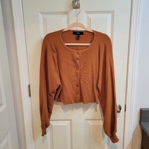 Forever 21 Cropped Sweater